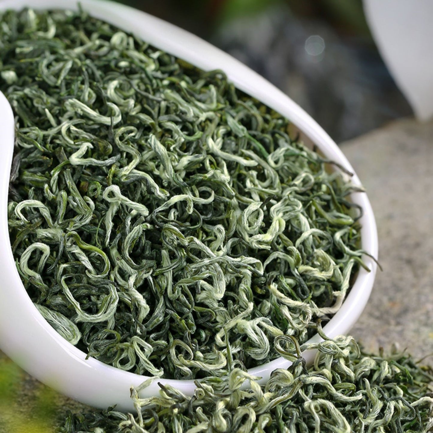 Spring Green Coils【碧螺春】500g